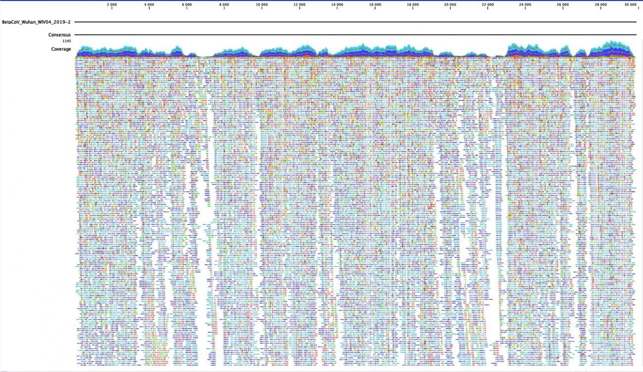 Sequence COVID-19